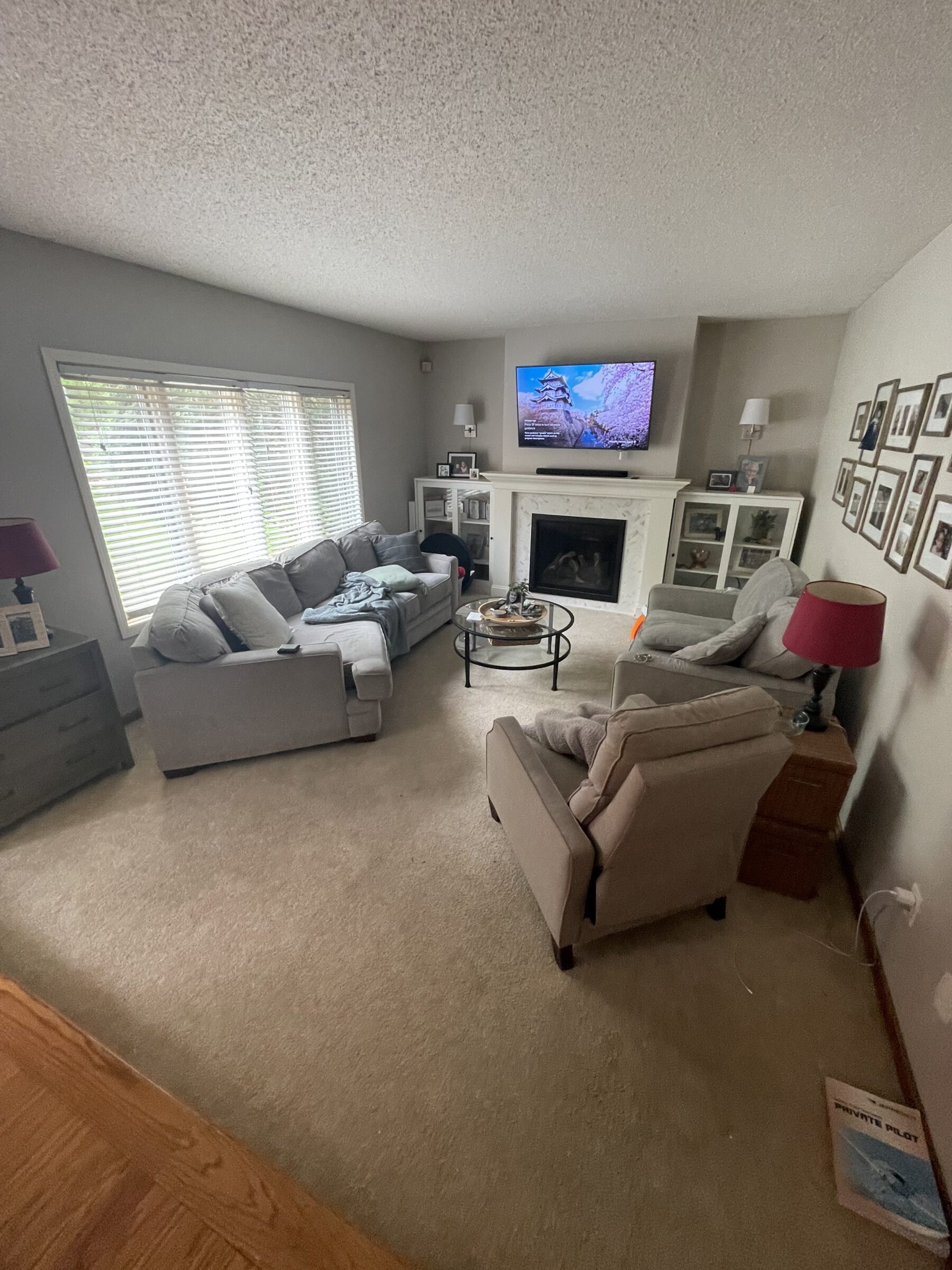 Before Photo Eagan, MN Living Room Remodel