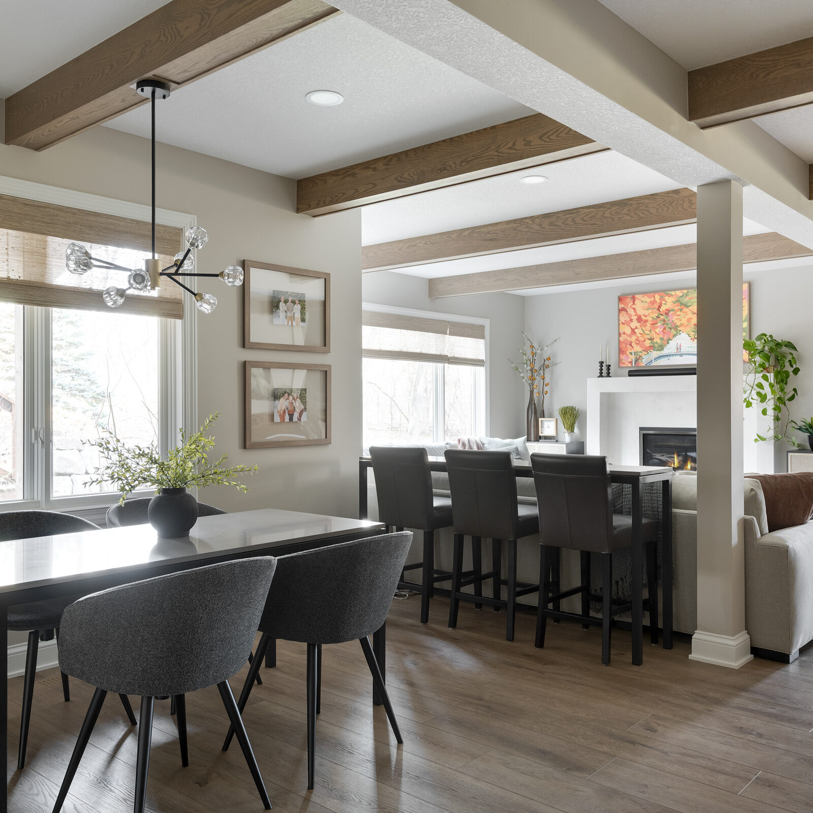 Rosemount MN Basement Remodel